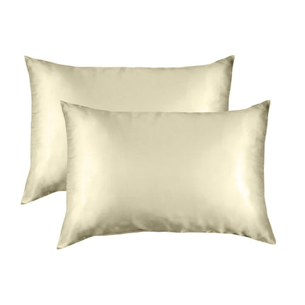 SILK PILLOW CASE TWIN PACK - SIZE: 51X76CM - Sage-1951134814539223044