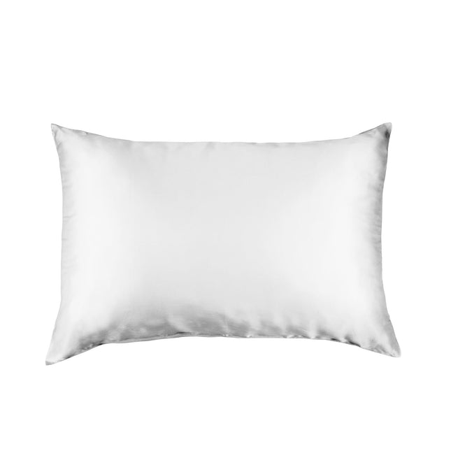 Pure Silk Pillow Case by Royal Comfort-Silver-1951134813960409089