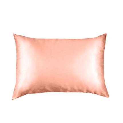 Pure Silk Pillow Case by Royal Comfort-Blush-1951134814153347072