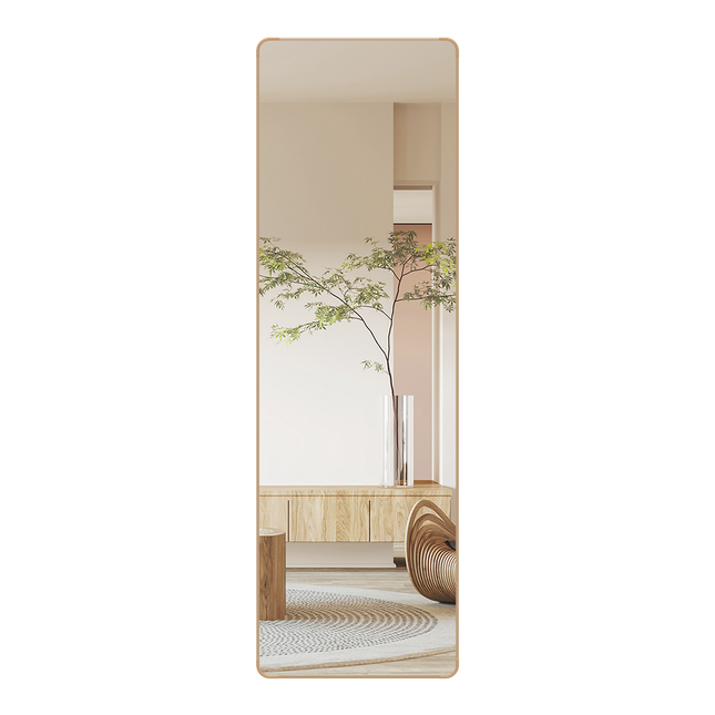 Yezi 120cm Wall Mounted Full Length Mirror Door Hanging-1973193505610272776