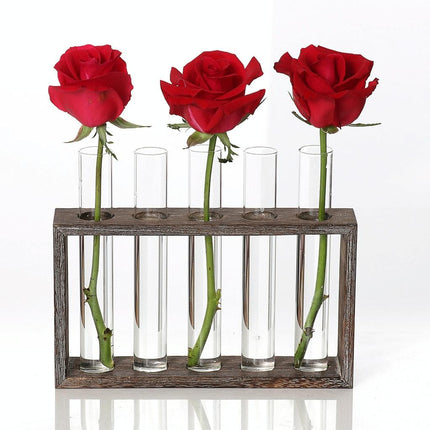 Minimalist Hydroponic Glass Vase With Wooden Frame For Coffee Shop Decor-1915198284557848577