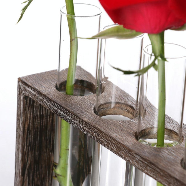 Minimalist Hydroponic Glass Vase With Wooden Frame For Coffee Shop Decor-1915198284557848579