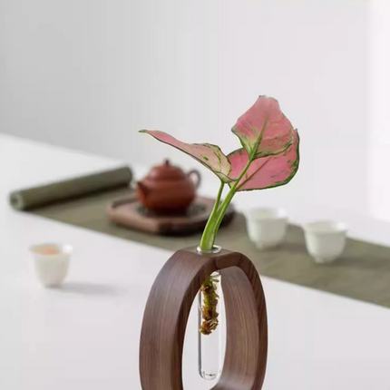 Wooden Glass Hydroponic Vase – Minimalist Desktop Flower Vase for Water Plants & Blooms (9.5cm) | Other Sizes Available in Store