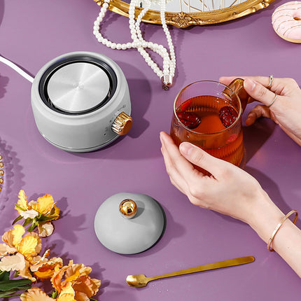 Portable Electric Kettle Stew Cup 450ML Health Cup Mini Slow Cooker Kettle Office Flower Teapot Split Tea Boiler AU Plug 220V