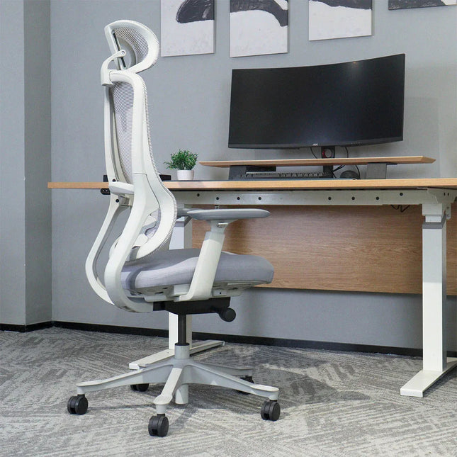 Lifespan Fitness DM8 Ergonomic Office Desk Chair (White/Grey)